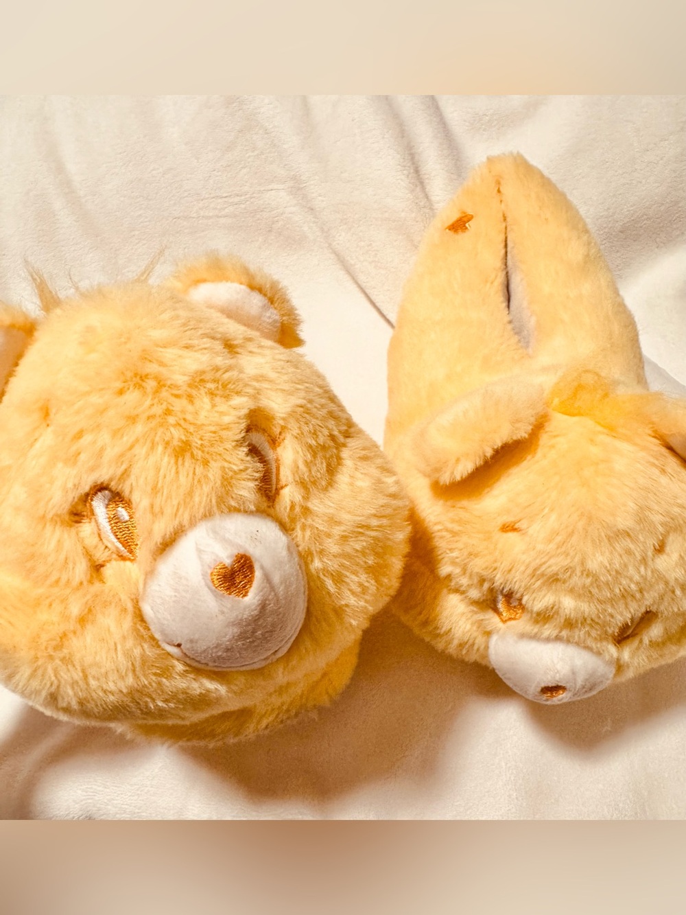 Women’s care bear slippers